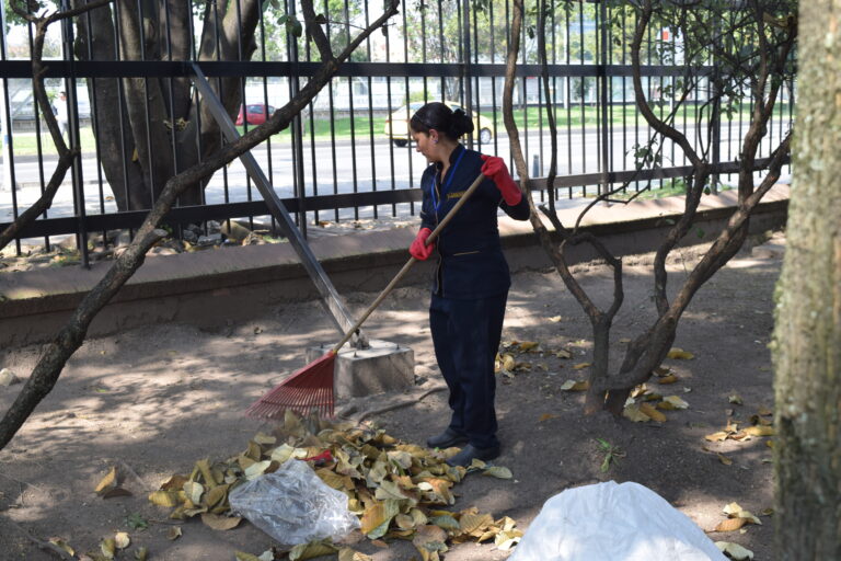 Ventajas de contratar servicio profesional de Aseo